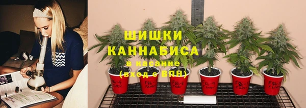 apvp Абаза