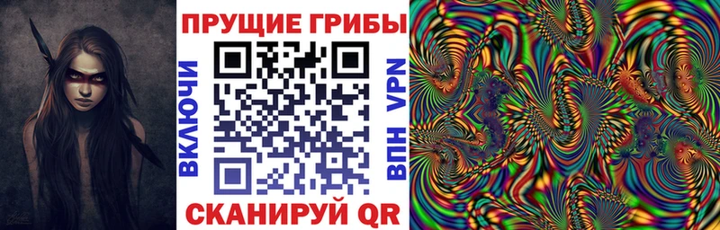 Галлюциногенные грибы Psilocybe  что такое   Златоуст 