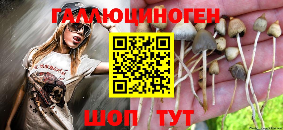 Златоуст  Галлюциногенные грибы GOLDEN TEACHER  Вход с VPN 